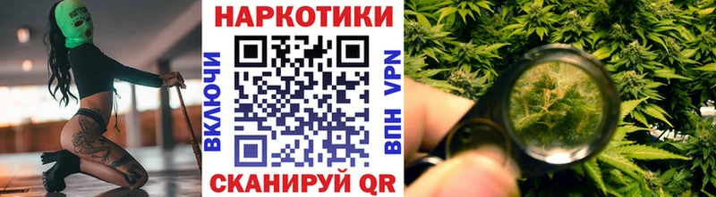 Как найти наркотики Приозерск Cocaine  Альфа ПВП  Мефедрон  АМФ  Бошки Шишки  Гашиш 