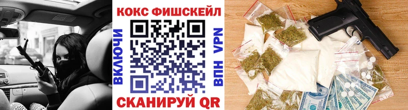 Кокаин Fish Scale  как найти закладки  Приозерск 