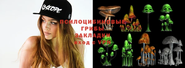 spice Алексин