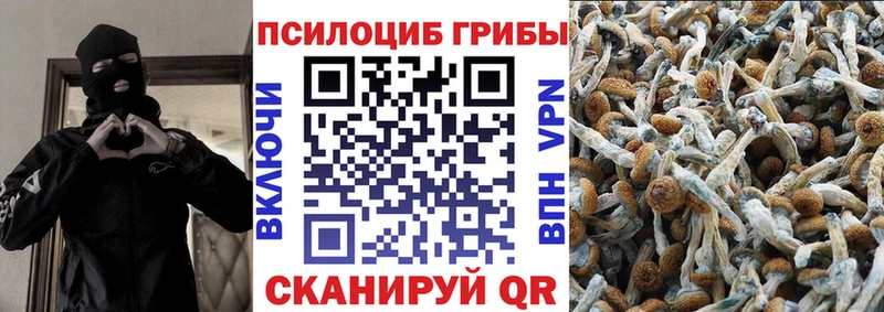 Псилоцибиновые грибы прущие грибы  Приозерск 